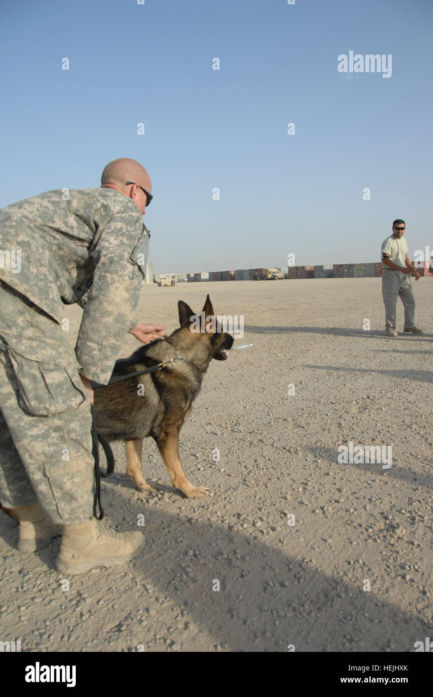 US Navy Petty Officer 2. Klasse Christopher Spears aus San Diego, Kalifornien, Commander, Naval Region Südwest zugeordnet hält seine militärische Ausbildung Hund, Rossi, bevor ein erzwungenes stoppen Demonstration am Kontingenz Operating Base Adder, Dhi Qar, Irak, 24. September 2009. Der Petty Officer Demonstrationen vorgesehen, um die irakische Polizei auf Sprengstoff Suche Techniken mit K-9s. K-9 Demo 206634 Stockfoto