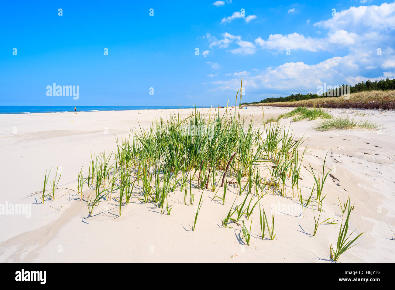 Grüner Rasen am Sandstrand auf Küste der Ostsee in der Nähe von Lubiatowo Dorf, Polen Stockfoto