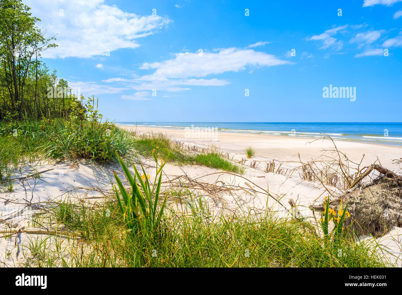 Blick auf grüne Küstenregion in Lubiatowo, Ostsee, Polen Stockfoto