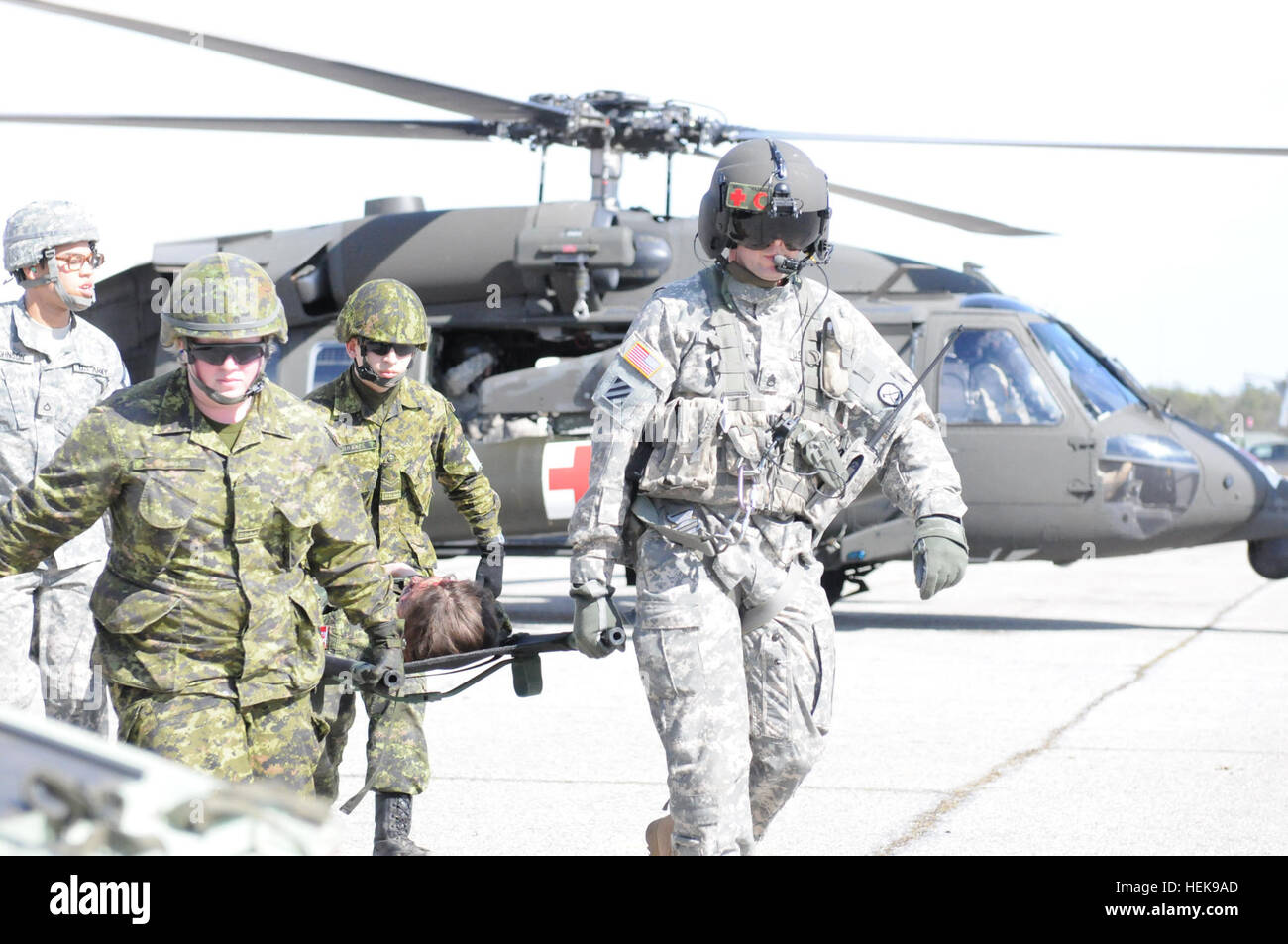 Soldaten der US Army Reserve von der 7236th medizinischen Support Unit von Fort Bragg, N.C., trainieren neben Charlie Kompanie, 2. Bataillon, 104. Aviation Regiment aus West Virginia Army National Guard und der kanadischen Armee, wie sie medizinische Evakuierung üben, die Verfahren der Entladung Patienten von einem Black Hawk Hubschrauber während der Southbound Trooper auf Fort Pickett, VA., 18-26 Februar 2012 zu trainieren. Die 7236th MSU ist von Fort Bragg, N.C., mit ihrer höheren Hauptquartier Süd Osten medizinischen Bereich Bereitschaft Selbsthilfegruppe, Army Reserve Medical Command ist aus Nashville, Tennessee AR-MEDCOM beteiligt sich Stockfoto