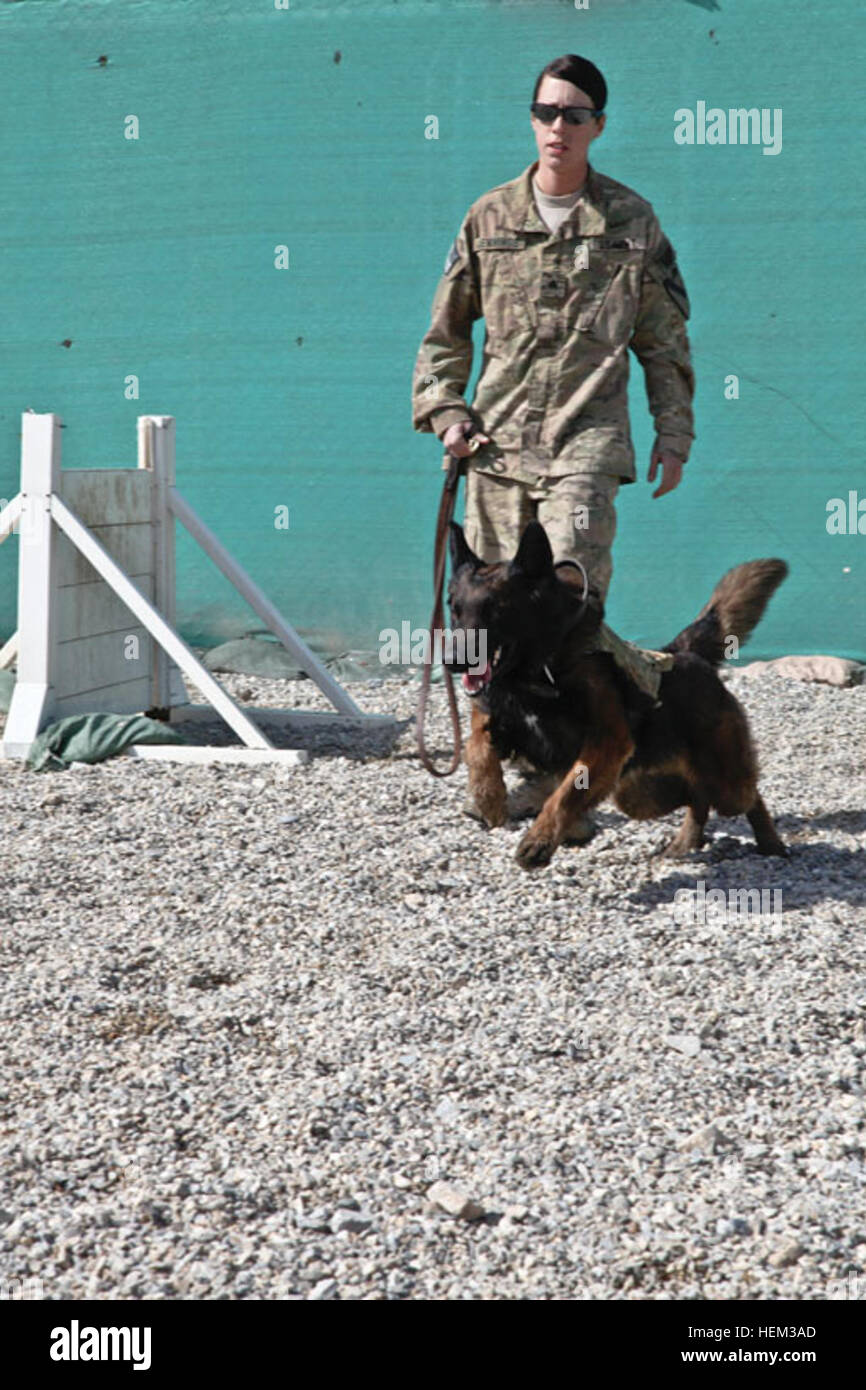 US Armee Sgt. Danielle Jennings, ein Hundeführer Patrouille explosive Detektor von Princeton, Ill., serviert mit Wardog Zwingern, Regional Command East, führt Patrouille und Aggression-Kontroll-Training mit Diesel, ein militärischer Arbeitshund, bei Bagram Air Field, Parwan Provinz, Afghanistan, 5. März 2012. Militärische Ausbildung 120308-A-XU607-020 Gebrauchshund Stockfoto