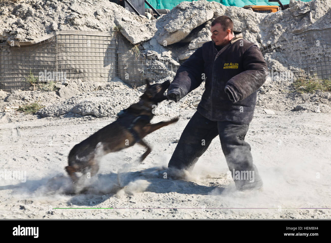 US Army Spc. Jason Potts zugewiesen Bravo Company, 4. spezielle Truppen Bataillon, 4. US-Infanteriedivision, 4th Infantry Brigade Combat Team engagiert sich durch ein Gebrauchshund während Militärpolizei Gebrauchshund Biss Ausbildung bei Forward Operating Base Fenty, Provinz Nangarhar, Afghanistan, 7. November 2012. Militärische Arbeitshunde Zug ständig nach Kompetenz in ihrer Rolle als militärische Mittel zu erhalten. (Foto: U.S. Army Spc. Ryan Hallgarth) Militärpolizei Gebrauchshund Biss training 121109-A-BX842-113 Stockfoto