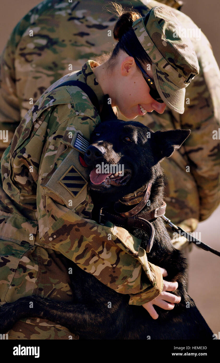 US-Captain Ashley Olds, Stabskompanie, 4. Bataillon, 3. Aviation Regiment, Task Force Brawler, erhält eine Umarmung aus eine australische militärische Arbeitshund bei multinationalen Basis Tarin Kowt in der Provinz Uruzgan, Afghanistan, 6. Februar 2013. (US Army Foto von Sgt. Scott Tant/freigegeben) Task Force Brawler Operationen 130206-A-IQ758-005 Stockfoto