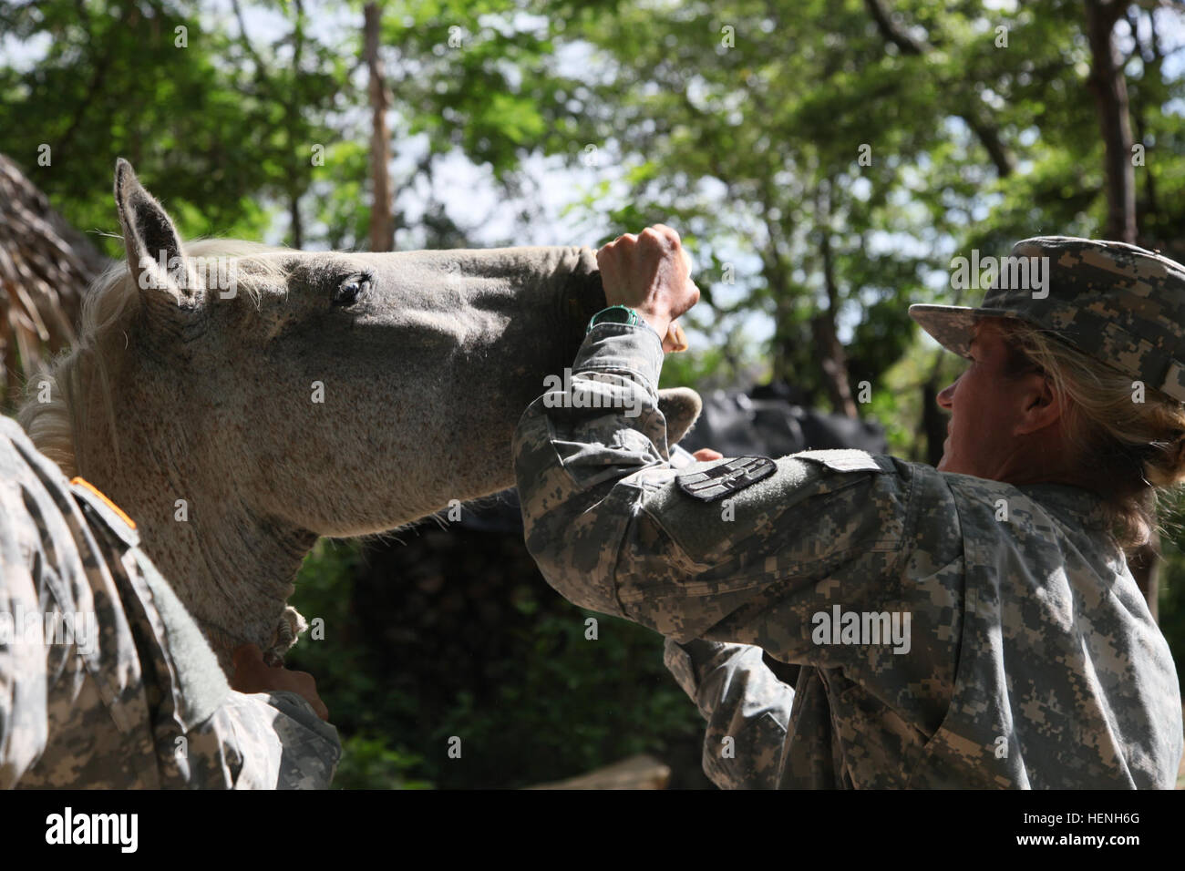 US Armee Generalmajor Victoria Smith, der 149. Medical Detachment Veterinärdienste, impft ein Pferd für eine tierärztliche Bereitschaft Übung bei Beyond the Horizon, San Jose, Guatemala, 25. Mai 2015. Hinter dem Horizont ist eine jährliche Übung, die die Partnerschaft zwischen den USA und Guatemala umfasst, bieten konzentriert humanitären Hilfe durch verschiedene ärztliche, zahnärztliche und bürgerlichen Action-Programme. (US Armee-Foto von Pfc. Christopher Martin/freigegeben) Über den Horizont 2014, Guatemala 140525-A-GA303-003 Stockfoto