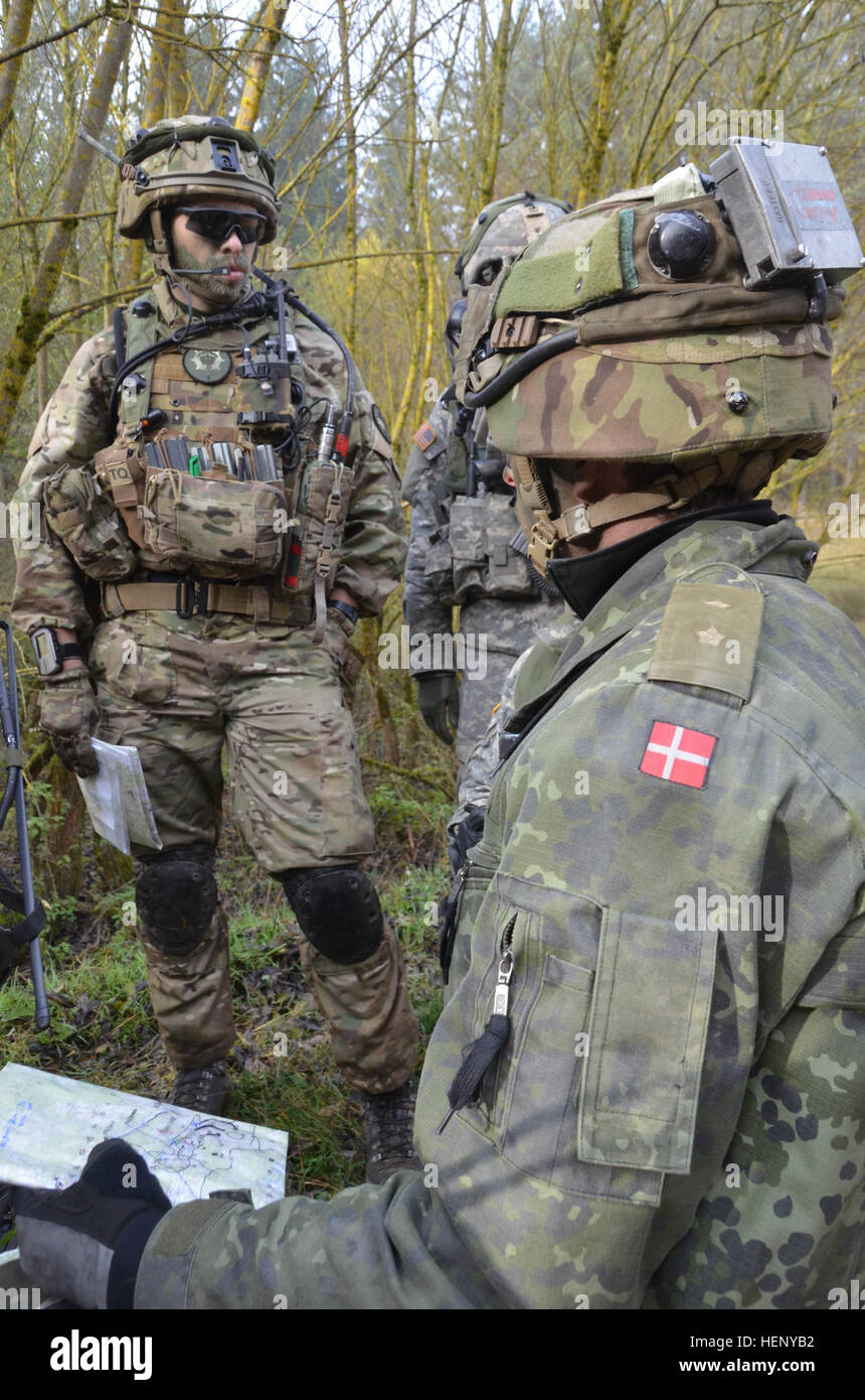 Dänische Soldaten von Alpha Company, 3. Reconnaissance Battalion, Garde-Husaren-Regiment Beitrag eine Karte während der Durchführung einer Bekämpfung Probe während der Übung kombiniert zu beheben III bei der Joint Multinational Readiness Center in Hohenfels, Deutschland, 8. November 2014. Kombinierte Lösung III ist eine multinationale Übung, die enthält mehr als 4.000 Teilnehmer aus NATO und Partner, und soll eine komplexe Trainingsszenario bieten, die konzentriert sich auf multinationale unified Land Operationen und das US-Engagement für NATO und Europa verstärkt. (US Armee-Foto von Pfc. Shardesia Washington/freigegeben) Co Stockfoto
