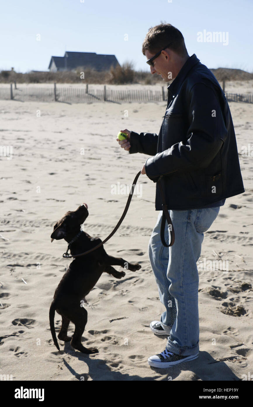 Mein Mann, Sergeant Roger Behringer, Infanterist, Firma A 2-508. zugewiesen, Fallschirm-Infanterie-Regiment, 2nd Brigade Combat Team, 82nd Airborne Division, spielt mit unseren Welpen, Casey, an Dam Hals Basis in Virginia Beach, Virginia, im Dezember 2014. Roger und ich versuche zu Casey zu Parks oder Strände so oft wie möglich zu helfen, einen Teil seiner Welpen Energie zu verbrennen und genießen roaming frei, wenn wir nicht arbeiten. (Foto: US Army Spc. Paige Behringer, 10. Press Camp Sitz) Kommentar, meine Crash-Kurs in Welpen Erziehung 150129-A-HL390-001 Stockfoto