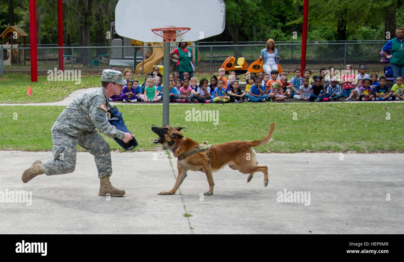 Patrouille explosiver detektor hund Fotos und Bildmaterial in hoher