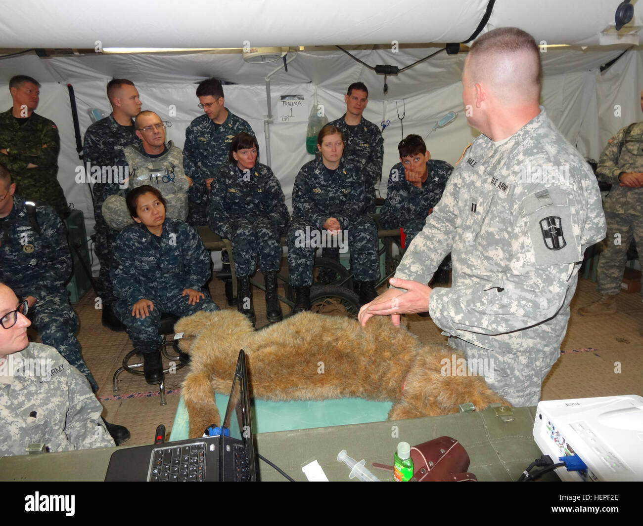 US Army Reserve Kapitän David Hale, mit der 993rd Veterinary Ablösung aus Aurora, Colorado, zeigt Lebensrettungstechniken für verletzte Arbeitshunde auf Fort McCoy, Wisconsin, USA, Juni 15, während Global Medic. Globale Medic ist der führende medizinische Teil von der 78th Training Abteilung Combat Support Training ausüben (CSTX) 78-15-02, die größte Übung der US Army Reserve, mit mehr als 10.000 Service-Mitglieder ist. (US Armee-Foto von Oberstleutnant Tracy Schmitt, 993rd Medical Detachment/freigegeben) Fürsorge für unsere militärischen Arbeitshunde 061515-A-ZZ999-2423 Stockfoto