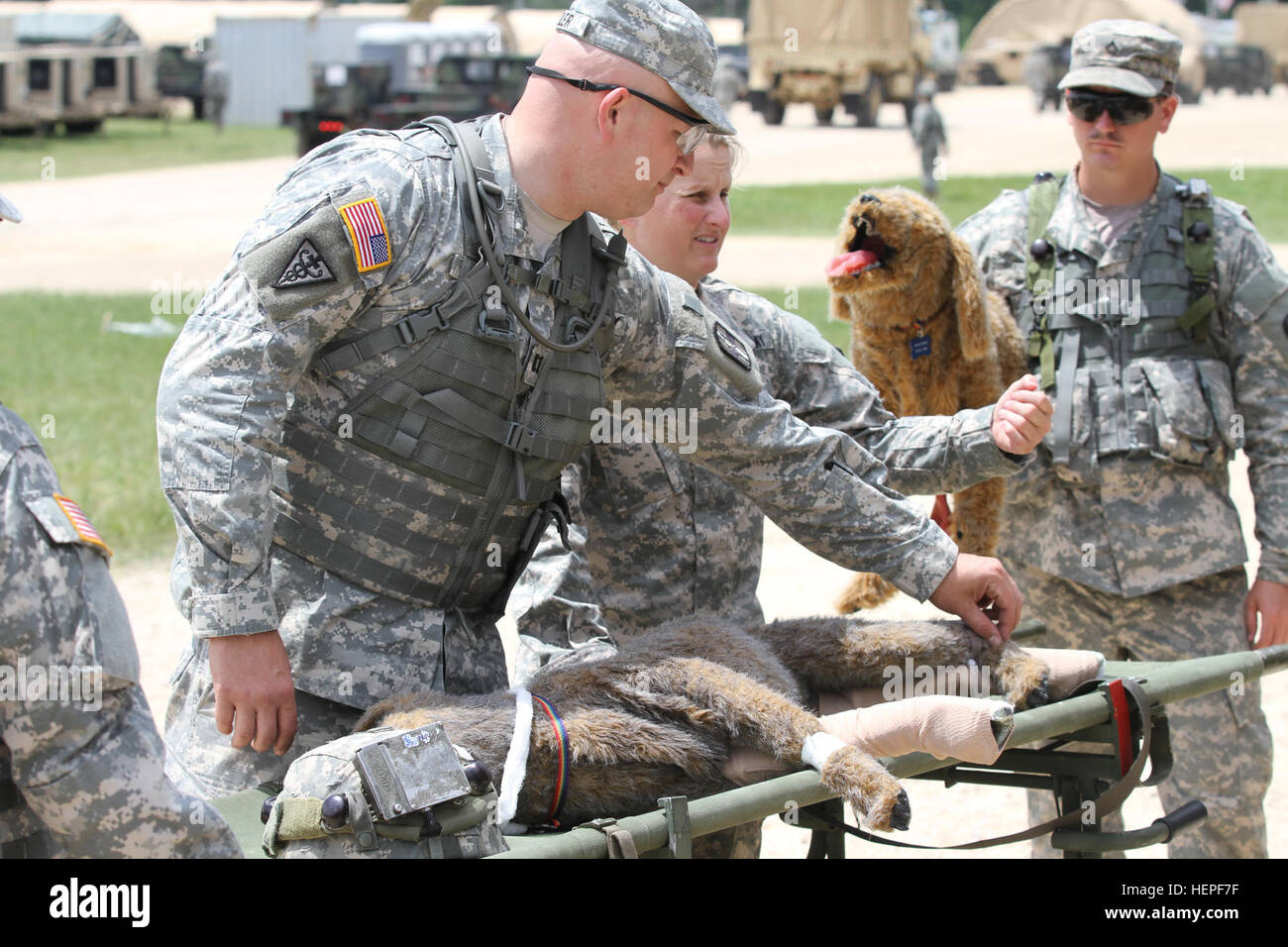 US Army Captain Robert Miller, mit der 994th Veterinary Ablösung aus Round Rock, Texas, zeigt Lebensrettungstechniken für verletzte Arbeitshunde auf Fort McCoy, Wisconsin, USA, Juni 17, während Global Medic. Globale Medic ist der führende medizinische Teil von der 78th Training Abteilung Combat Support Training ausüben (CSTX) 78-15-02, die größte Übung der US Army Reserve, mit mehr als 10.000 Service-Mitglieder ist. (Foto: US Army Sergeant Daniel Butcher, 343rd Public Affairs Abteilung/freigegeben) Fürsorge für unsere militärischen Arbeitshunde 061715-A-EV612-1071 Stockfoto