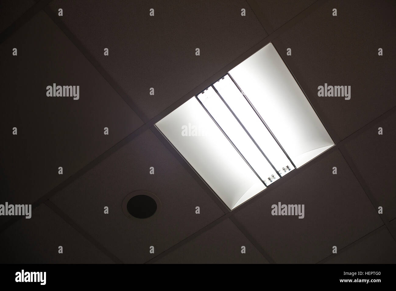Detail eines Panels von fluoreszierenden Streifen Licht inmitten einer Büro-Ceiligng. Stockfoto