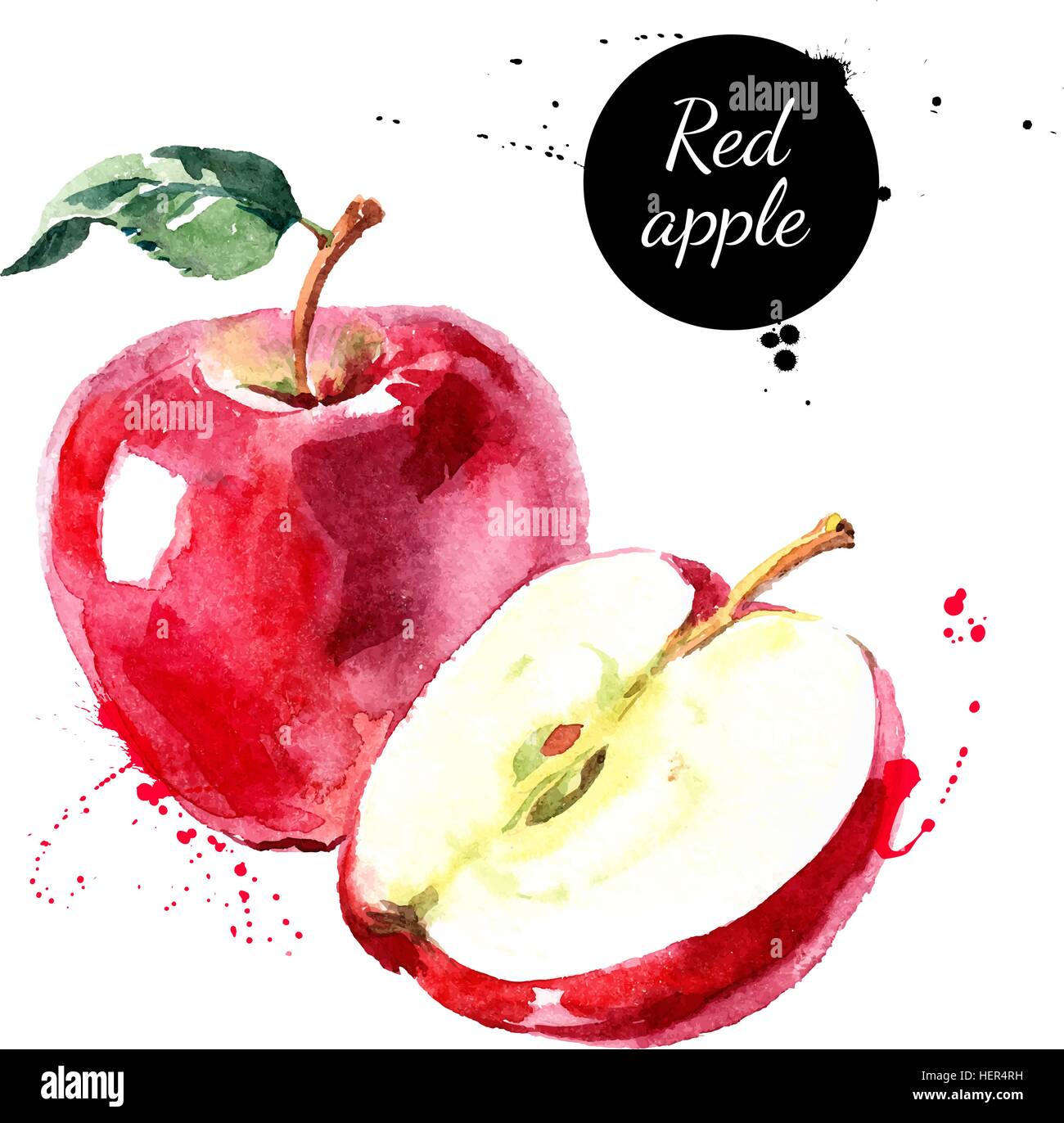 Aquarell Hand gezeichneten roten Apfel. Isolierte Öko Naturkost Obst-Vektor-Illustration auf weißem Hintergrund Stock Vektor