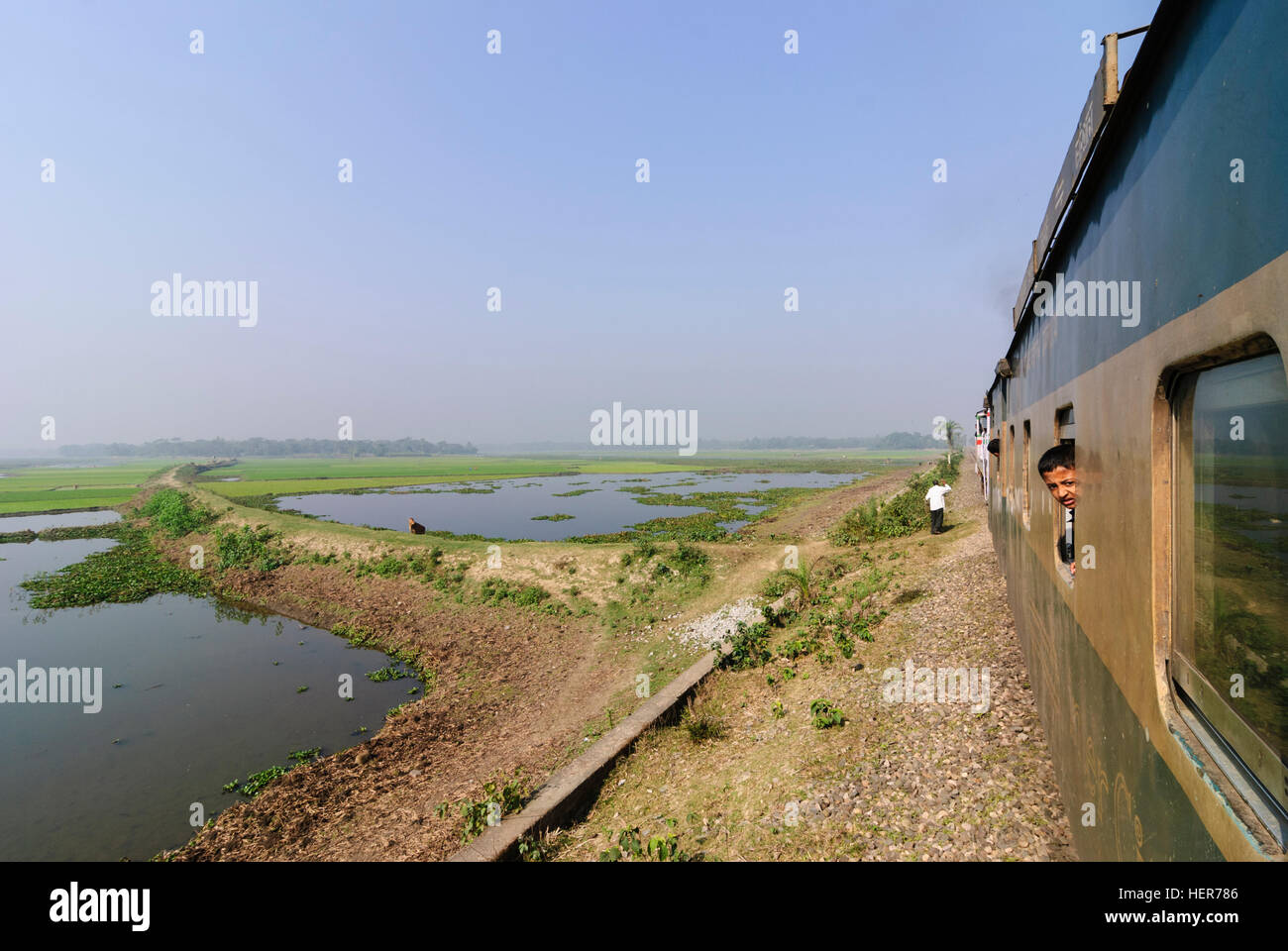 : Intercity Zug durchquert Reis Felder, Division Chittagong, Bangladesch Stockfoto