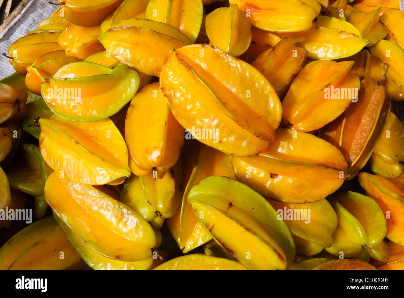 Sternfrucht (Karambole Gattung), Meghalaya, Indien Stockfoto