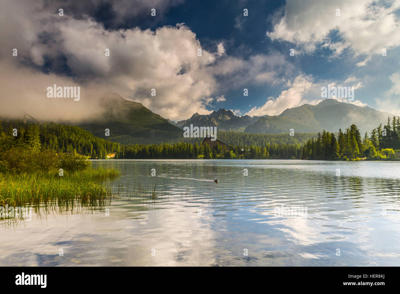 Slowakei, Tatra, Tatra-Gebirge, Berge, Europa Tatra Europa Slowakei Reisen Slowakei, See Slowakei, Tatra See, See Berge Strbskie Pleso, Pleso, Strbskie, hohe Tatra, Tschirmer See, Sommer, Tatra Slowakei Sommer Stockfoto