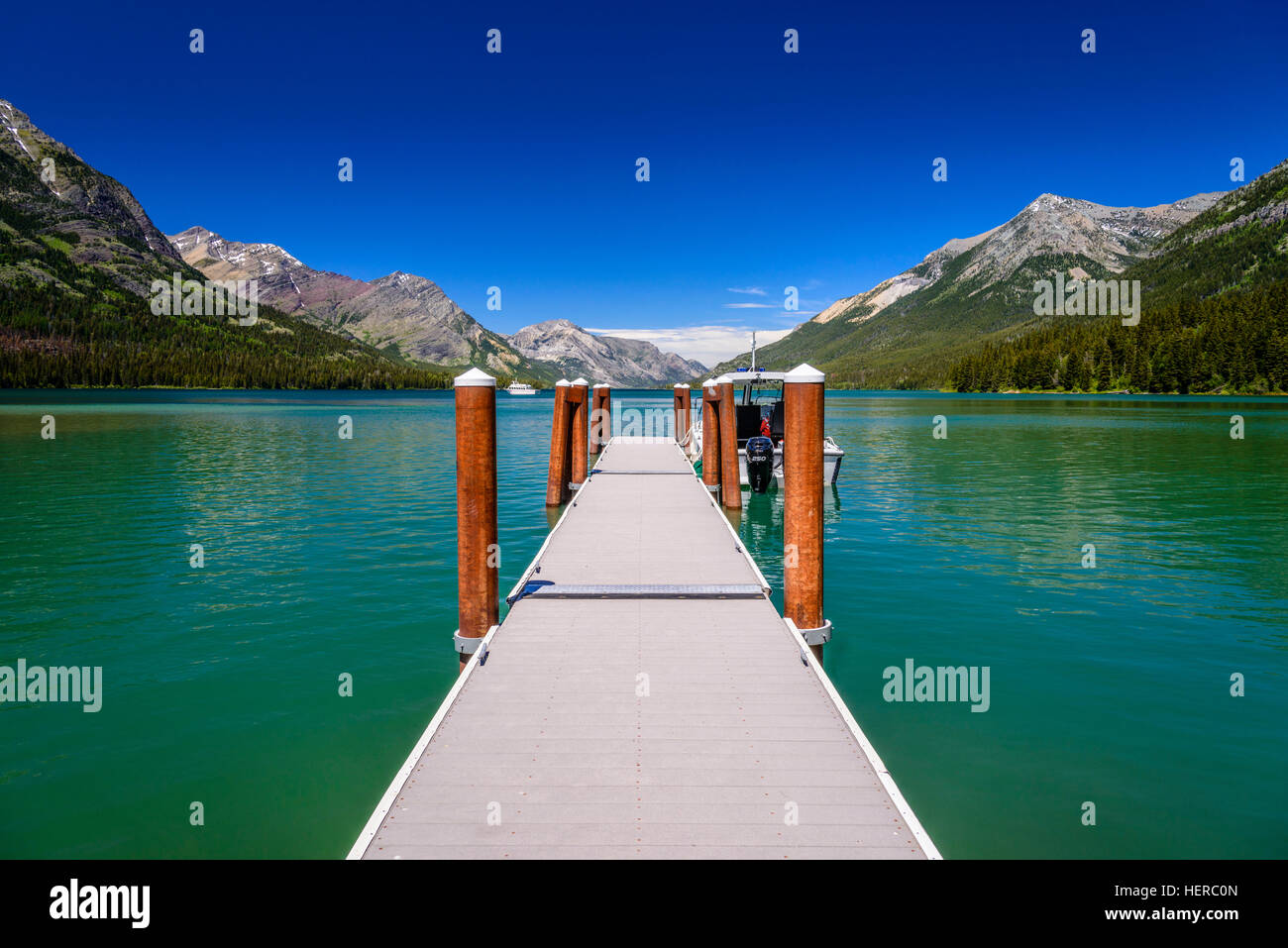 Ziege, Glacier National Park, Montana, USA heimsuchen, Upper Waterton Lake, Steg Stockfoto
