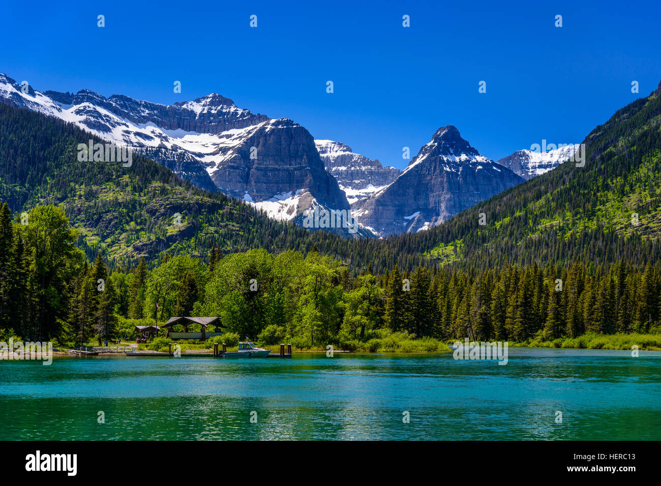Ziege, Glacier National Park, Montana, USA heimsuchen, Grenzposten, Upper Waterton Lake, Stachelschwein Sortiment Stockfoto
