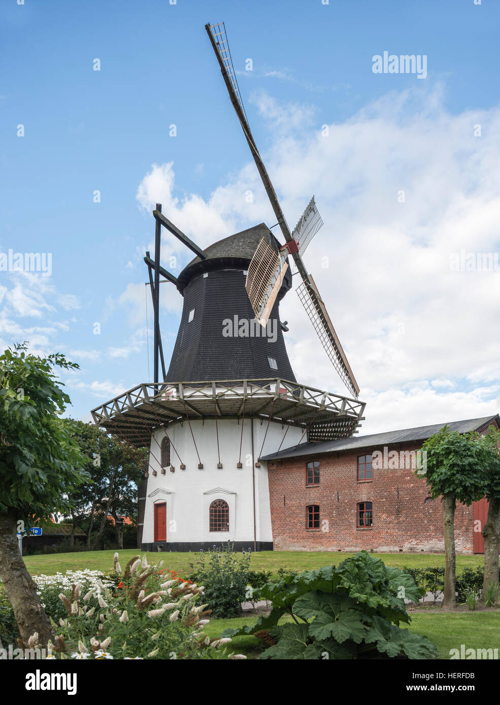 Højer Mølle, historischen holländischen Windmühle mit Museum Sønderjylland, Højer, Jütland, Süddänemark, Dänemark Stockfoto