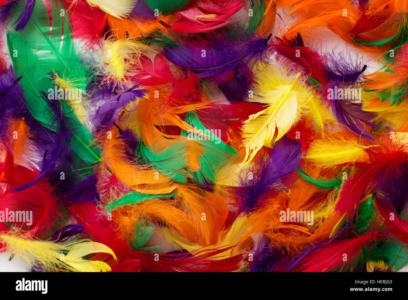 Hintergrund der Multi farbige Federn hautnah Stockfoto
