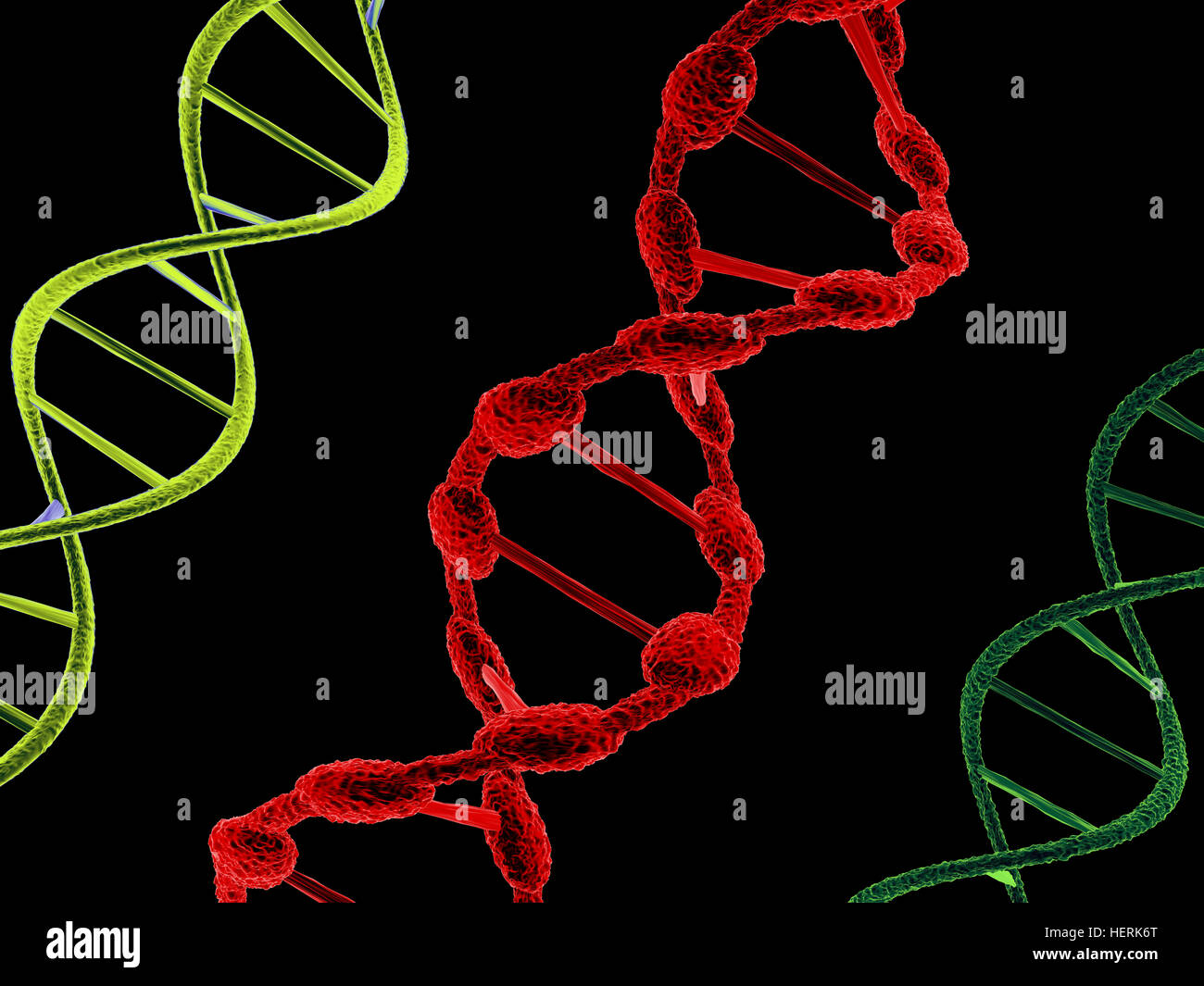 DNA-Strukturen Stockfoto