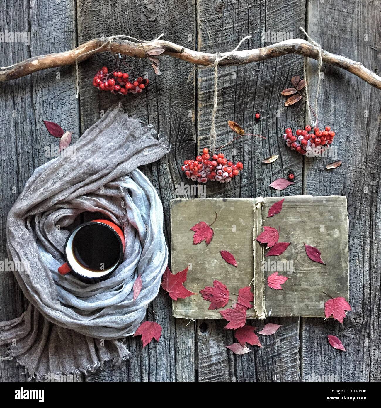Beeren, Blätter im Herbst und Kaffee-Anordnung Stockfoto