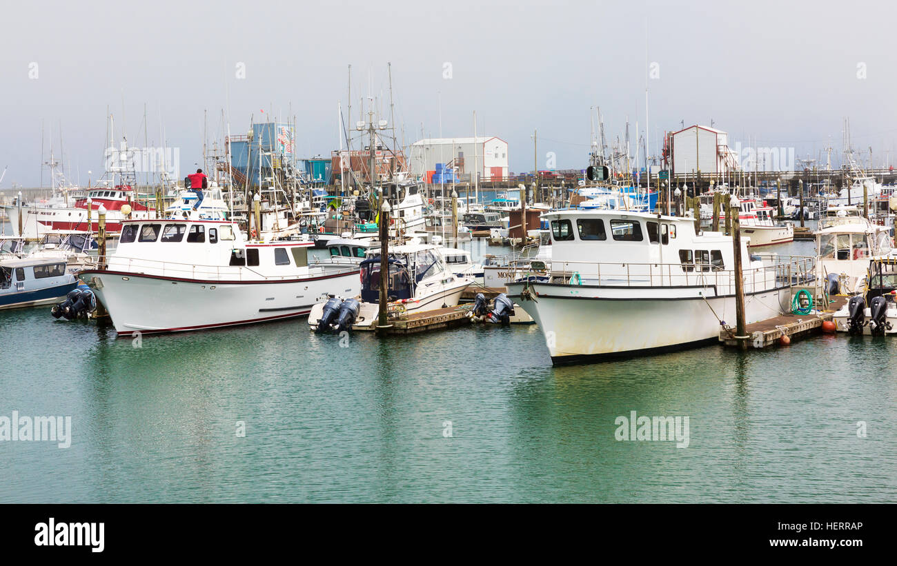 Westport Harbor, Washington.  Charta Fischereiflotte liegt am Hafen auf Washington State Pazifik Küste. Stockfoto