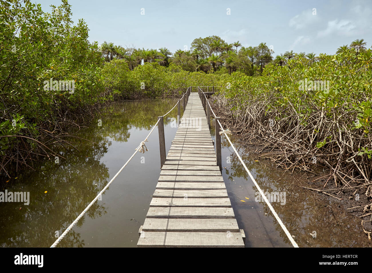 Rio Ancarrosso, Orango Island, Bijagos Inseln, Guinea Bissau, Afrika Stockfoto