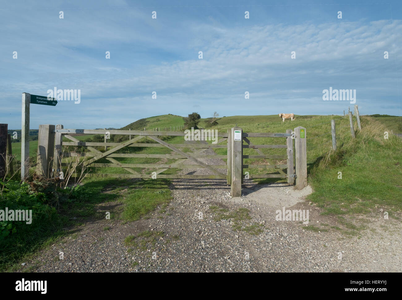 Wanderweg-Zeichen-Stil und Tor auf dem South West Coast path Stockfoto