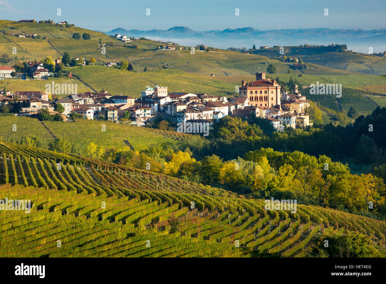 Morgendämmerung über Weinberge und Stadt Barolo, Piemont, Italien Stockfoto