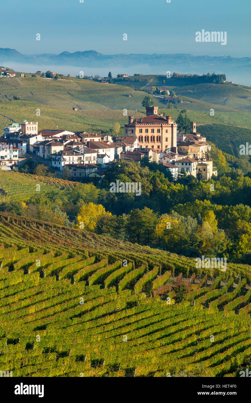 Morgendämmerung über Weinberge und Stadt Barolo, Piemont, Italien Stockfoto