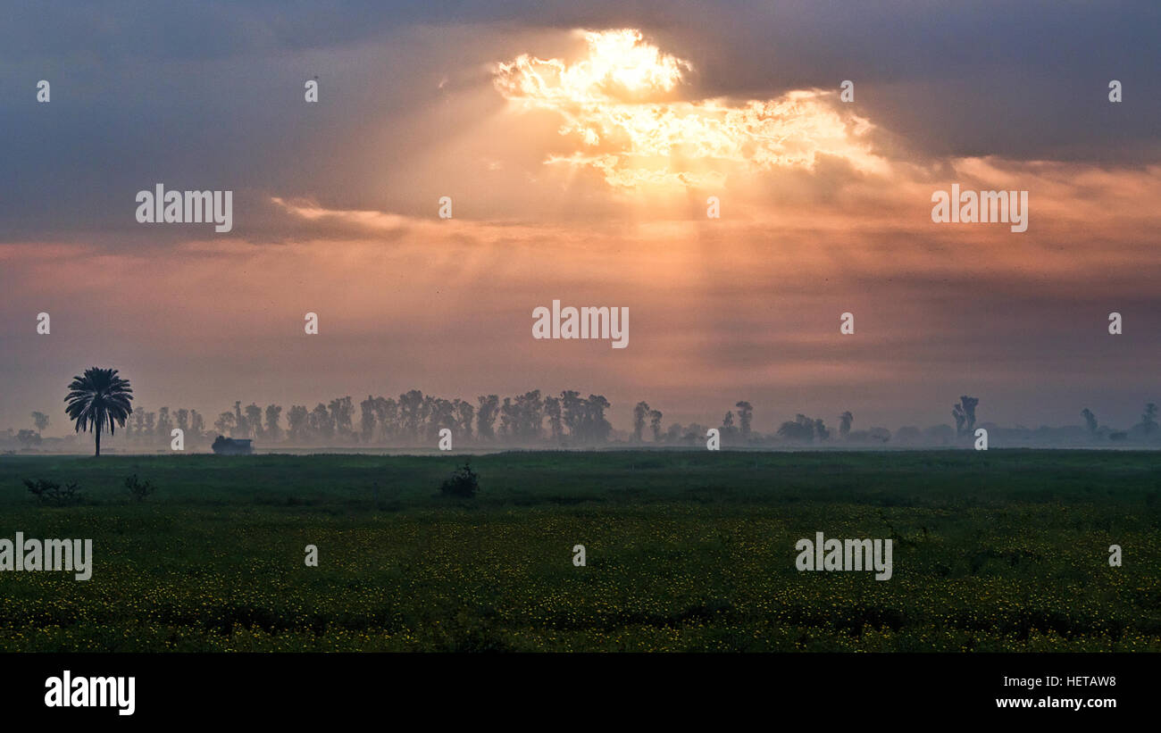 Weite Landschaft von grünen Wiesen mit Bäumen, dramatische farbige/bunte Wolken am Himmel Strahlen kommen unsere aus Wolken Stockfoto