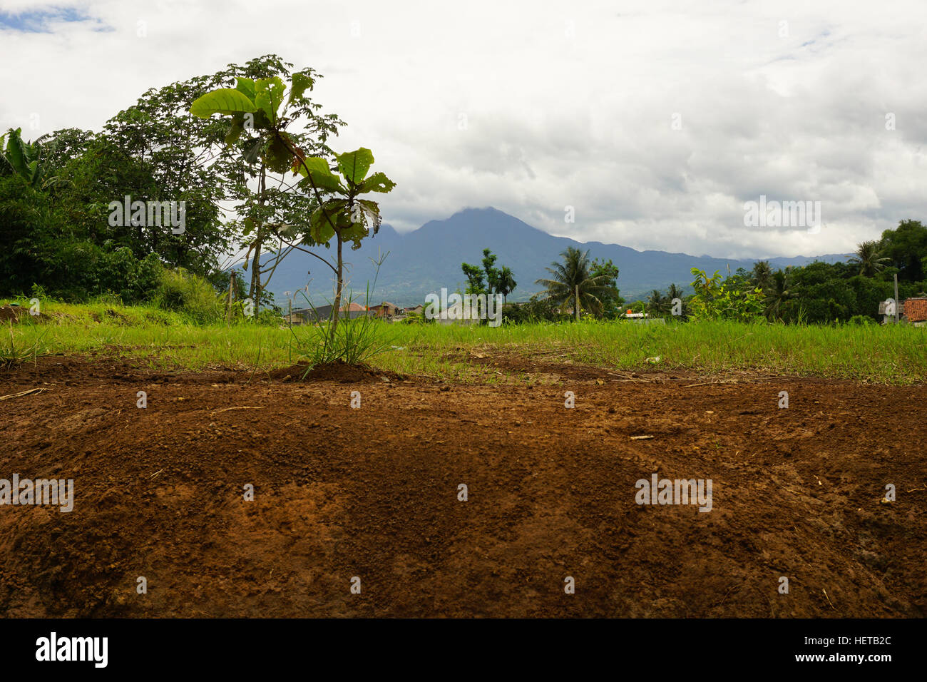 Mount Salak Ansicht aus ein Stück Feld Foto in Bogor, Indonesien Stockfoto