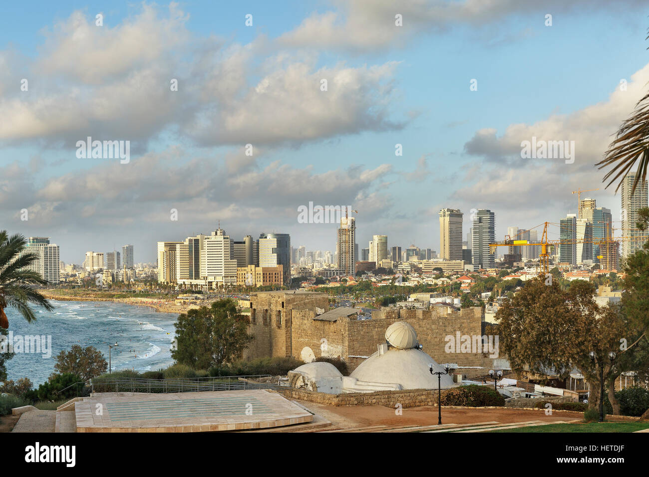 Blick auf die Küste der Baeume in Israel Stockfoto