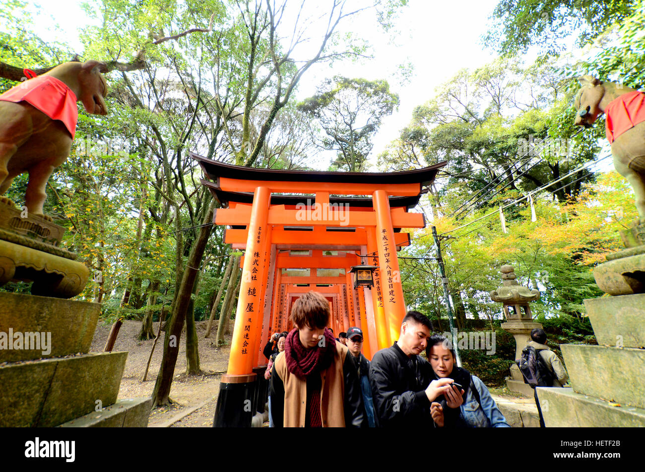 KYOTO, JAPAN - 23. November 2016: A zahlreiche internationale und japanische Touristen besuchten am Fushimi Inari Schrein. Stockfoto