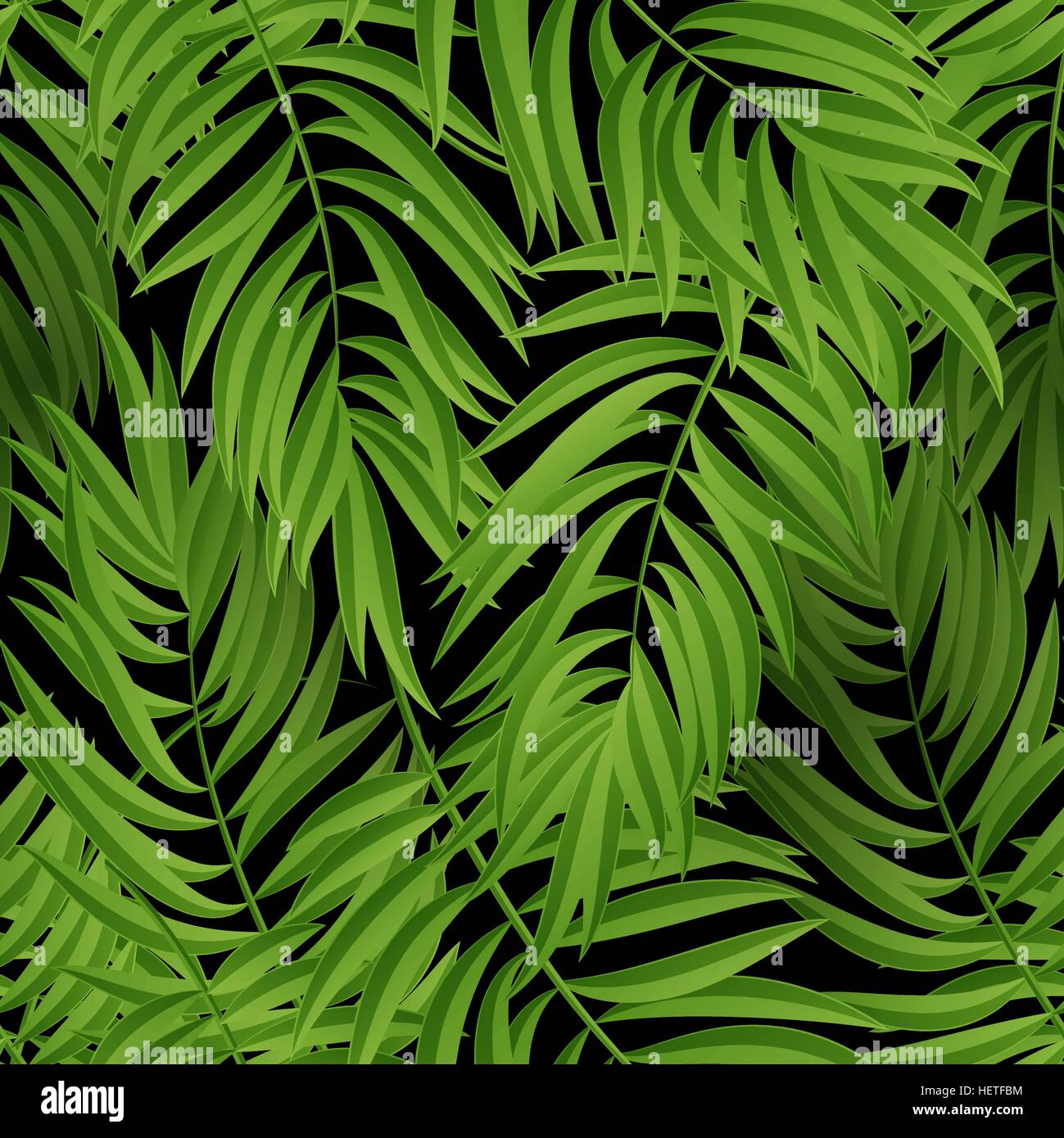 Tropische Palmblätter. Nahtloser Vektor. Tropische Palmblätter. Tropische Palmen. Tropischen Palm Leaf. Grünen tropischen Palmen. Grüne Palme Stock Vektor