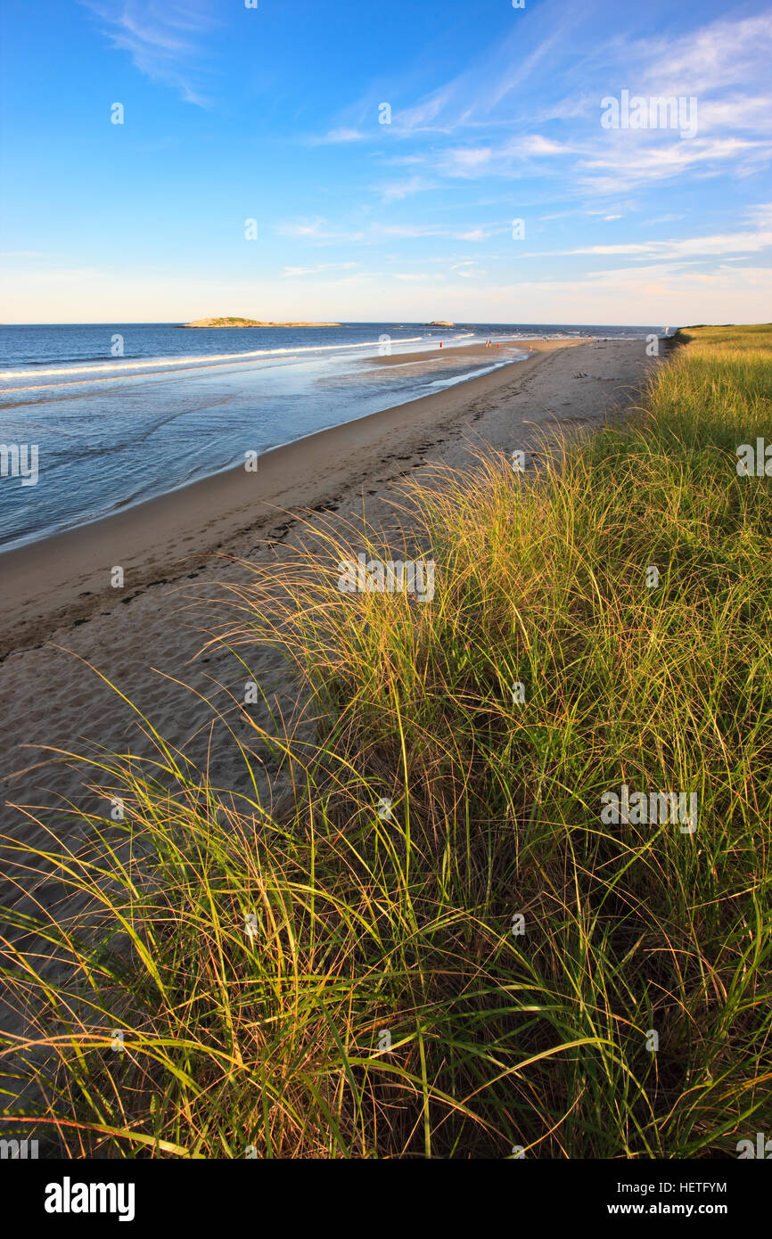 Der Strand im Popham Beach State Park in Phippsburg, Maine und Dünengras. Stockfoto