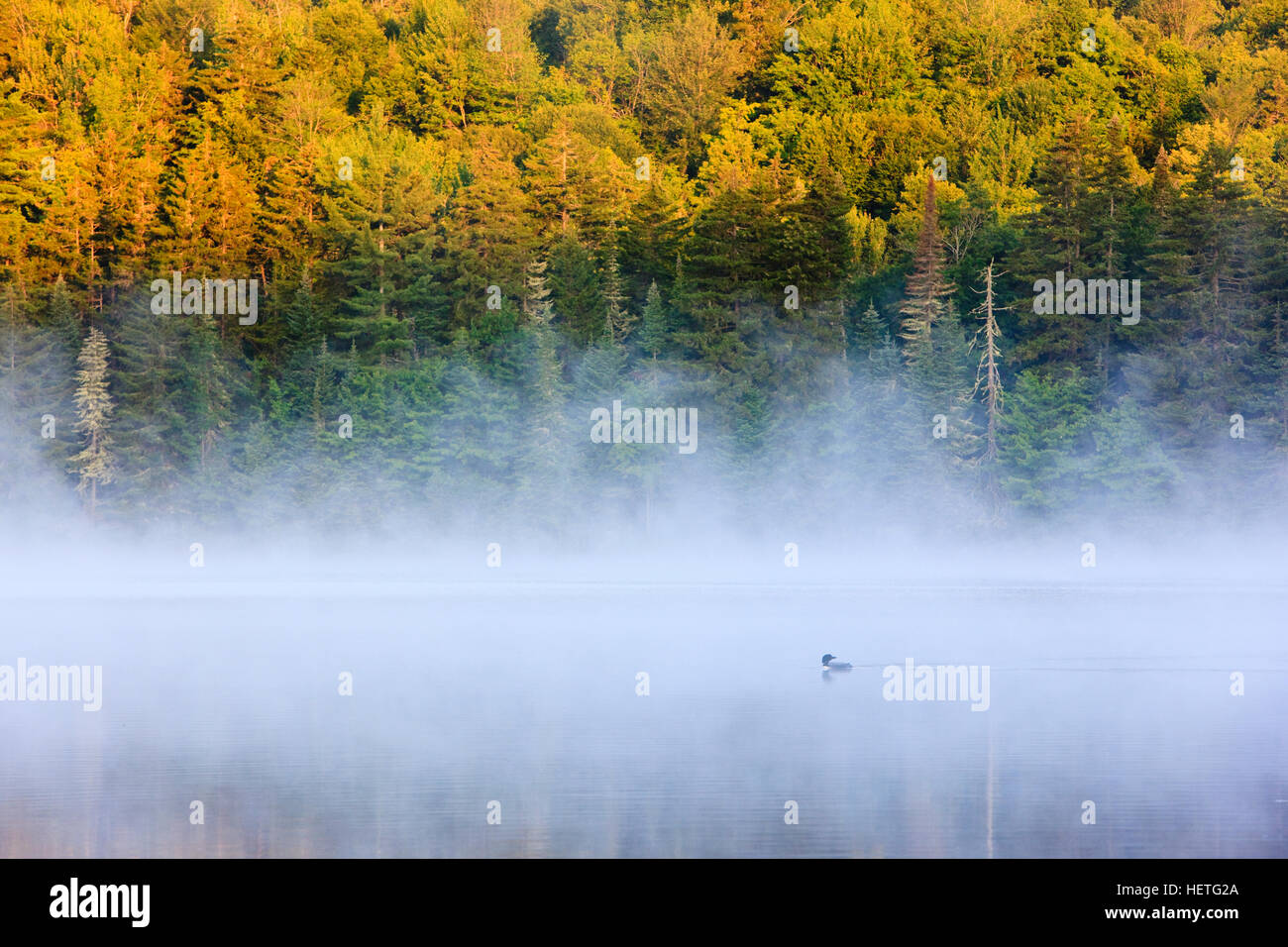 Nebel am kleinen Greenough Teich in Errol, New Hampshire. Stockfoto