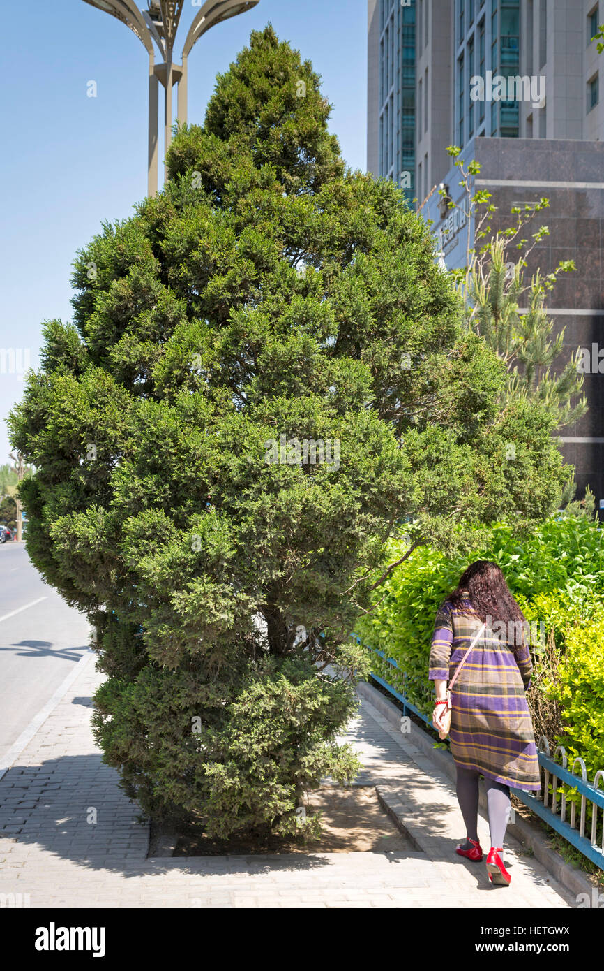 Gesperrte Fußweg, Yinchuan, Ningxia, China Stockfoto
