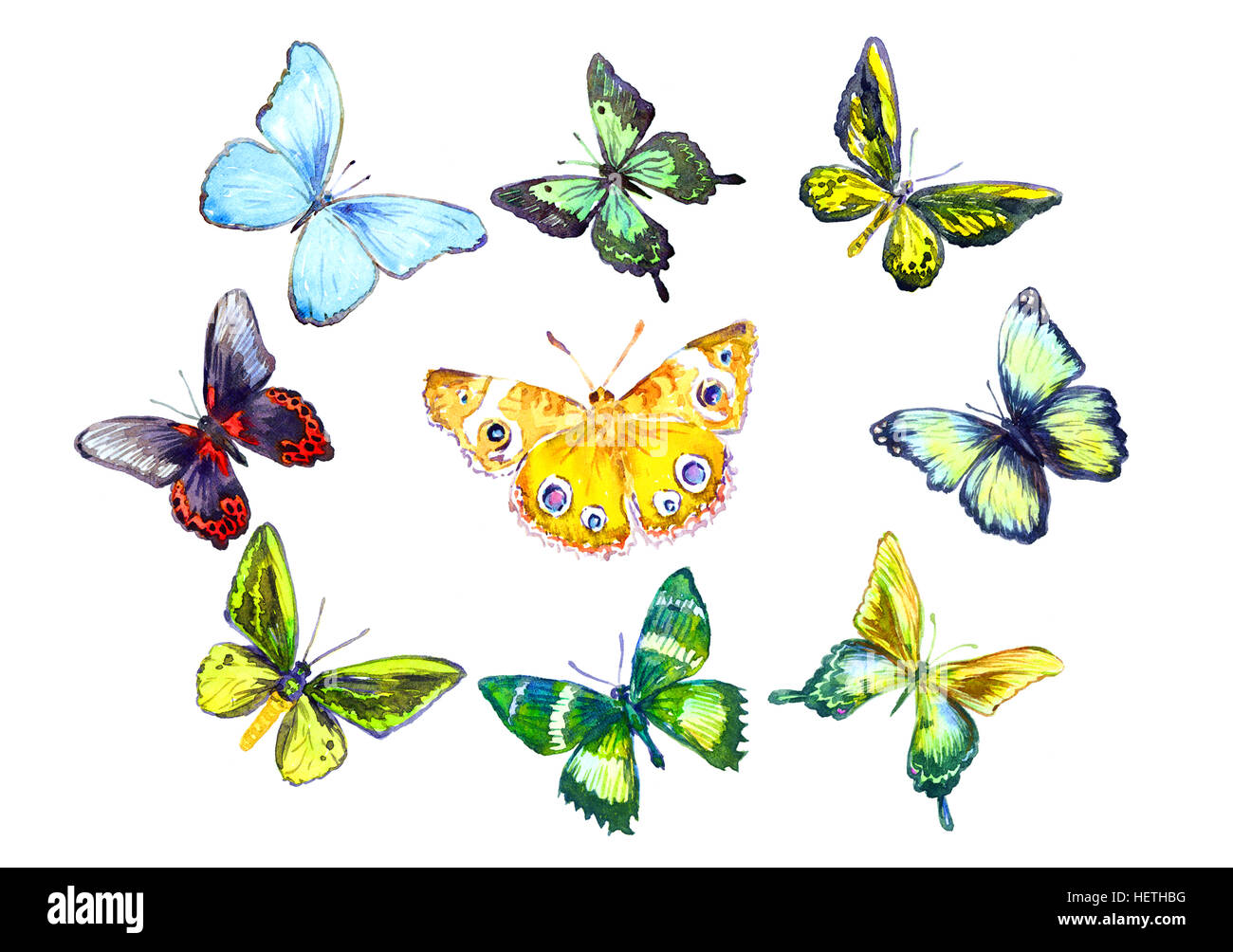 Schmetterlinge Zum Ausdrucken Bunt