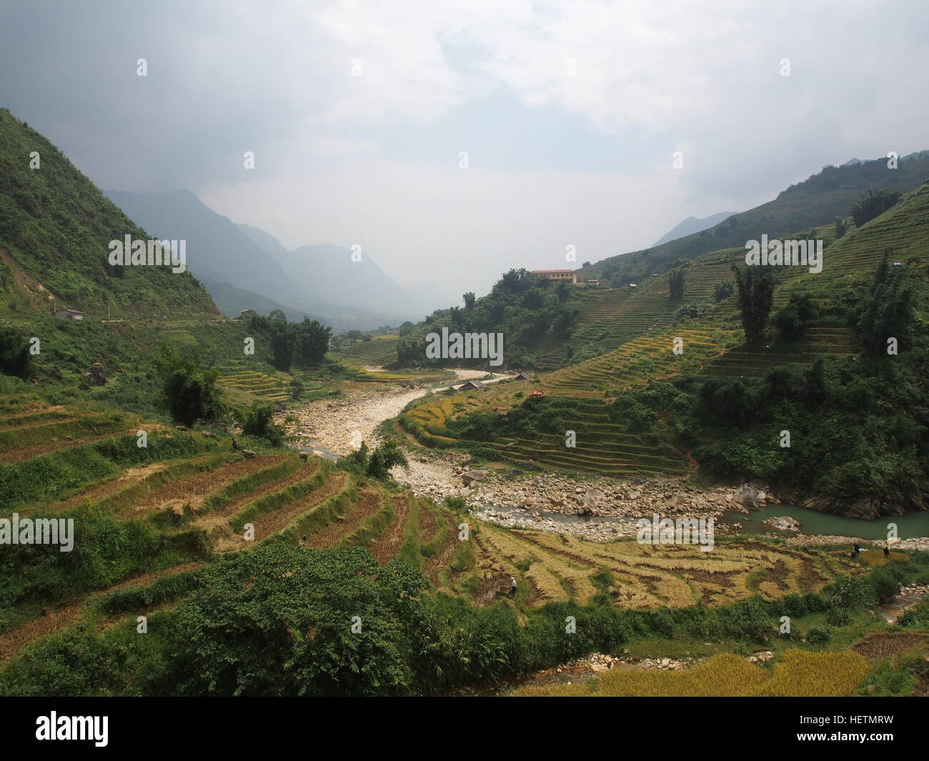 Trübe vietnamesische Tal mit Fluss weben zwischen Reisterrassen Stockfoto