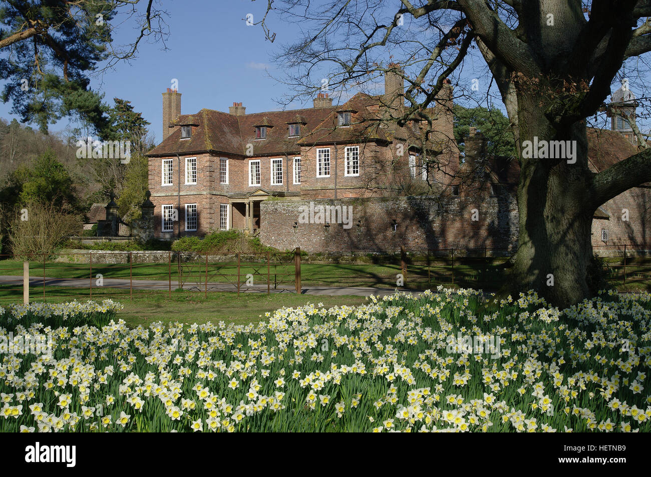 Groombridge Place im Frühling mit Narzissen Stockfoto