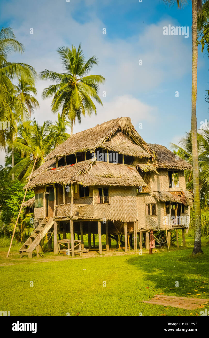 Große einfache Haus aus Holz und Stroh, umgeben von viel Grün in Avatip, Sepik Fluss in Papua-Neuguinea. Stockfoto