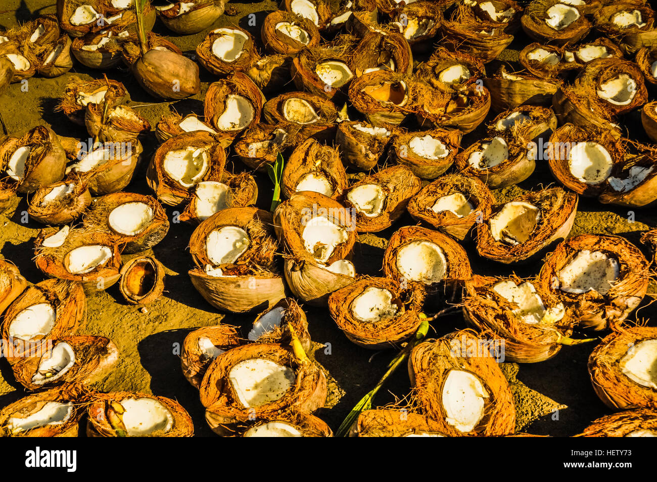 Foto von vielen Kokosnuss-Schalen auf Boden in Dorf am Ramu-Fluss in Papua-Neuguinea. Stockfoto