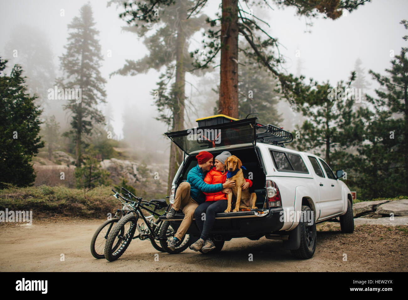 Paar und Hundesitting an Heckklappe Jeep Kombi, Sequoia Nationalpark, Kalifornien, USA Stockfoto