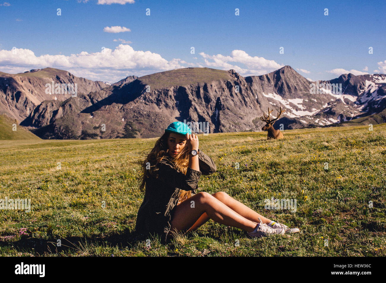 Frau im Feld mit Elch, Rocky Mountain Nationalpark, Colorado, USA Stockfoto