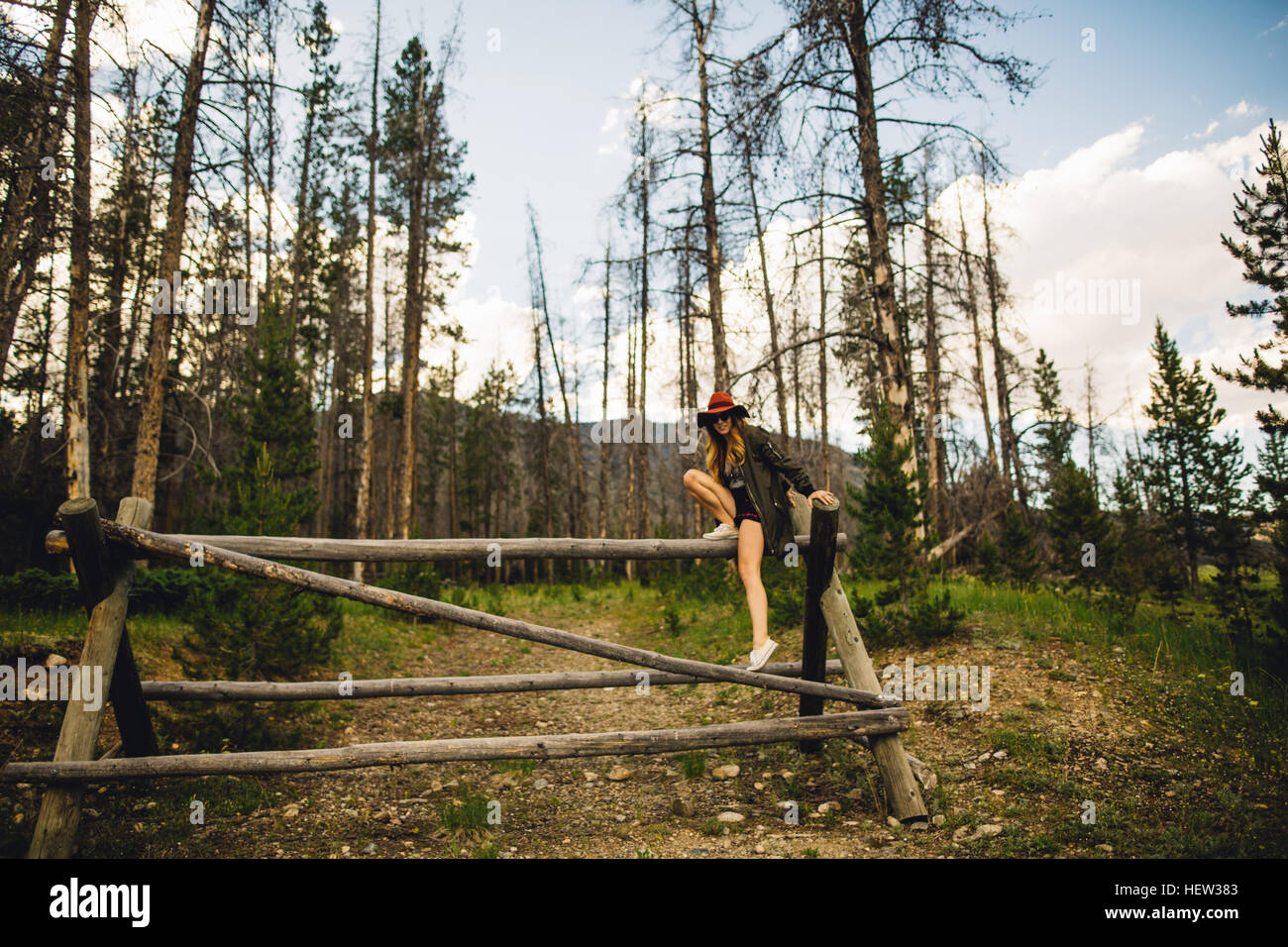 Frau im Waldklettergarten auf Holzkonstruktion, Rocky Mountain Nationalpark, Colorado, USA Stockfoto