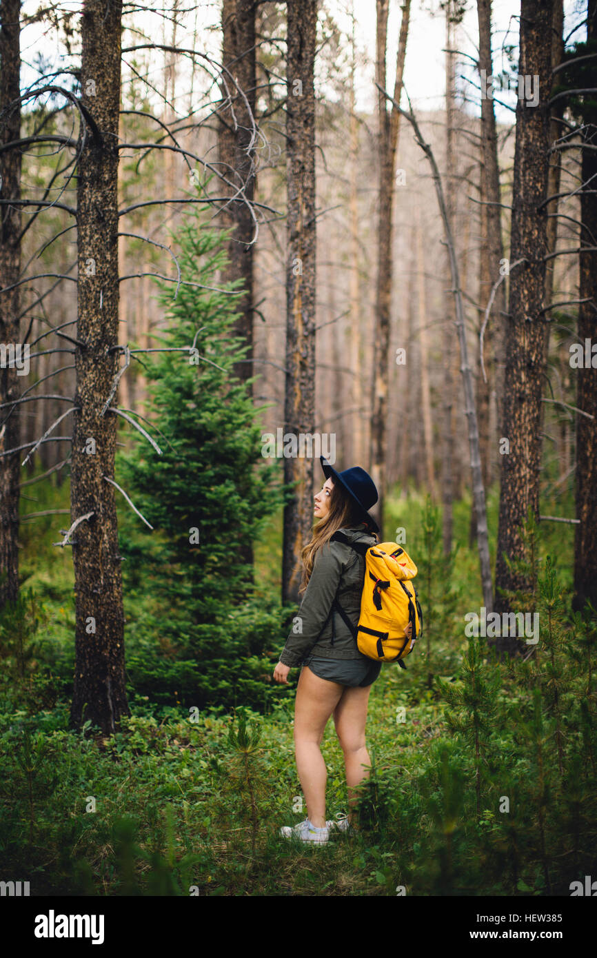 Frau im Wald wegsehen, Rocky Mountain Nationalpark, Colorado, USA Stockfoto