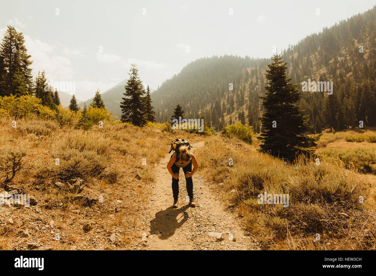 Frau eine Pause auf Wandern Wanderweg, Mineral King, Sequoia Nationalpark, Kalifornien, USA Stockfoto