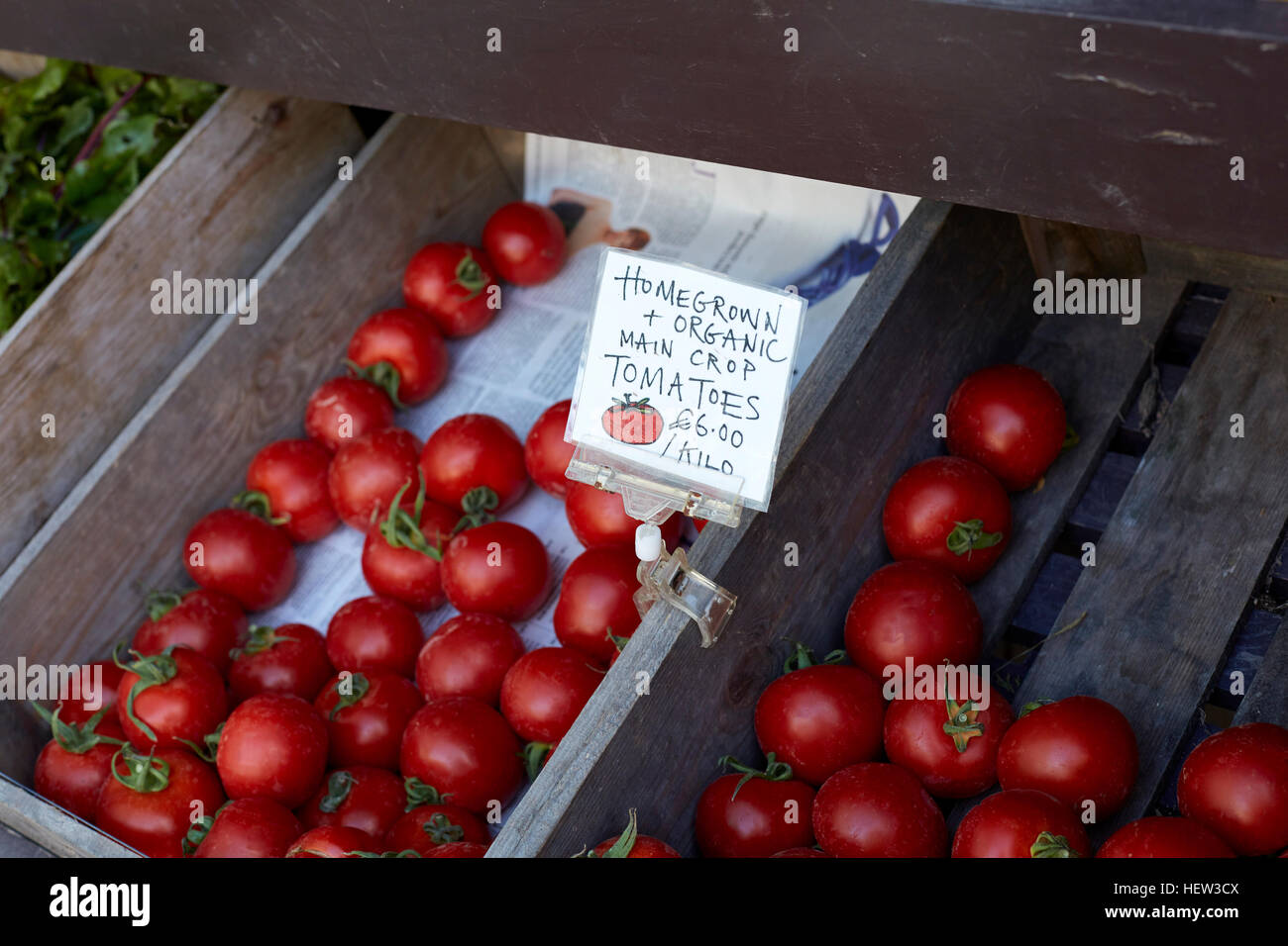 Homegrown Tomaten zu verkaufen, Nahaufnahme, Cork, Irland Stockfoto