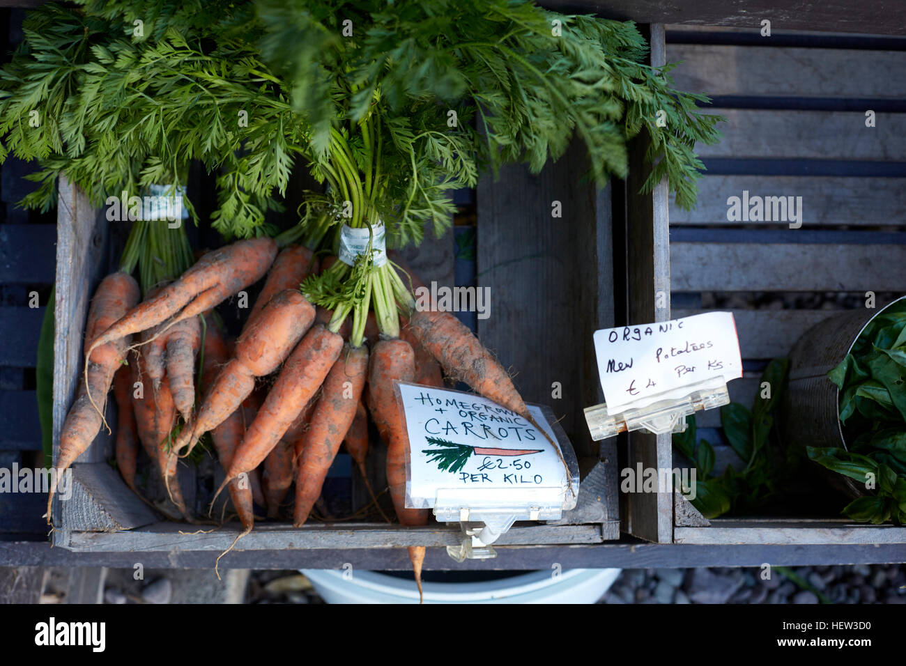 Homegrown Karotten zu verkaufen, Nahaufnahme, Cork, Irland Stockfoto