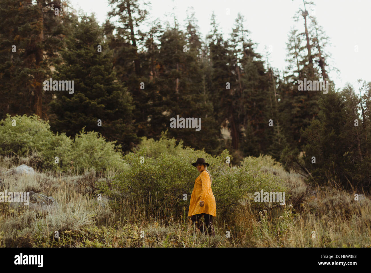 Frau zu Fuß in ländlicher Umgebung, Mineral King, Sequoia Nationalpark, Kalifornien, USA Stockfoto